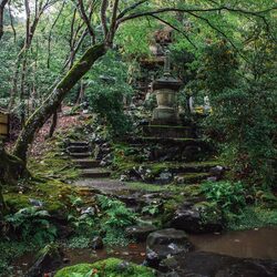 Destination Wedding Japan Zen Temple Kyoto Weddingceremony